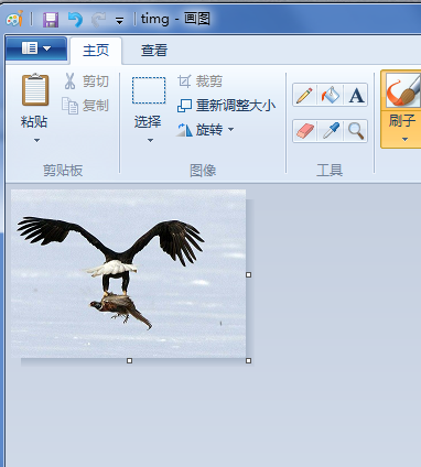 Win10怎么利用画图改变照片大小|