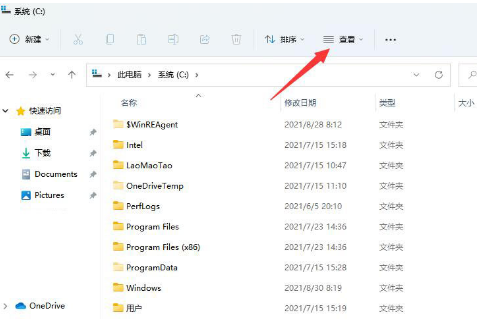 windows11怎么查看隐藏项目文件