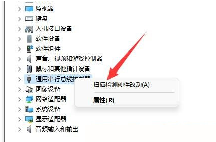 Win11移动硬盘不显示怎么办