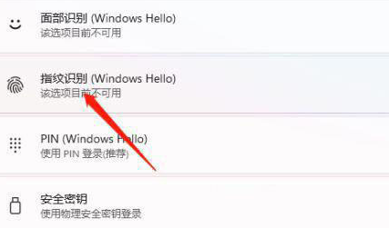 windows11纯净专业版