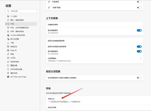 Microsoft Edge浏览器如何更改字体大小