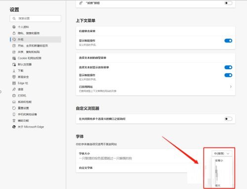 Microsoft Edge浏览器如何更改字体大小