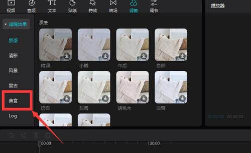 剪映电脑版如何设置美食滤镜