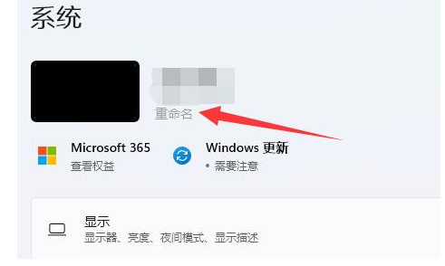 Windows 11专业版2024最新