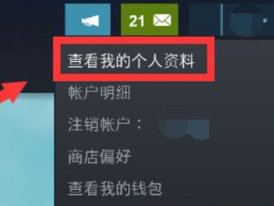 steam游戏详情怎么设置私密