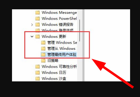 win11如何关闭系统自动更新