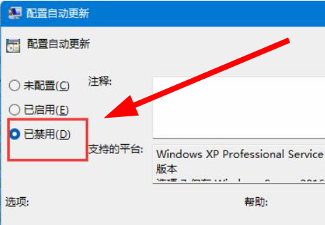 win11如何关闭系统自动更新