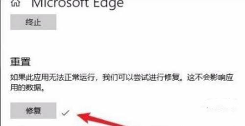 win11自带浏览器打不开怎么办