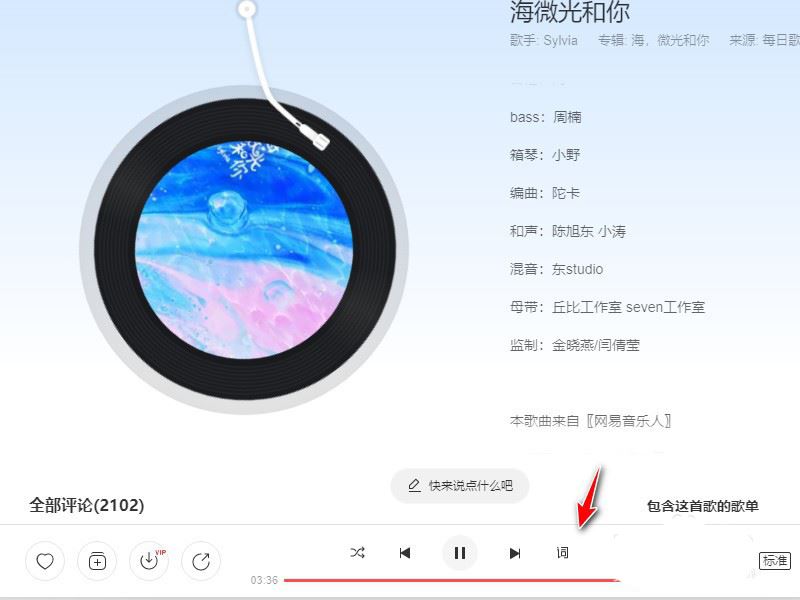 网易云音乐如何设置歌词双行显示