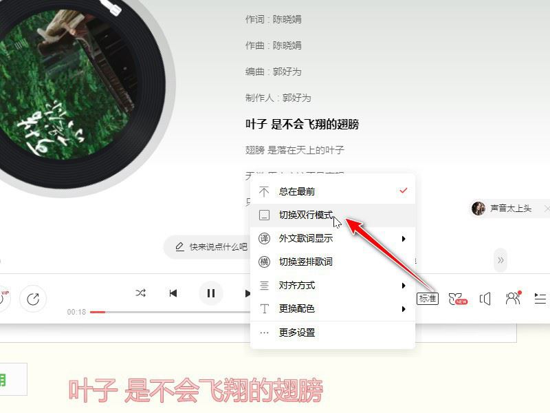 网易云音乐如何设置歌词双行显示