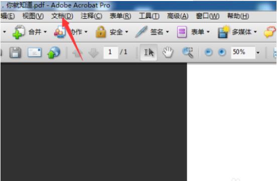 Adobe Reader怎么删除水印