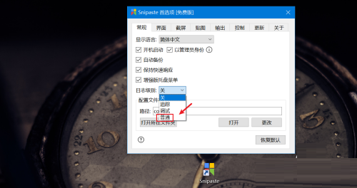 Snipaste如何打开普通日志