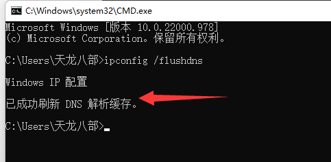 Win11dns异常无法上网怎么办