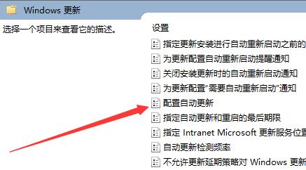 Win10如何永久关闭自动更新