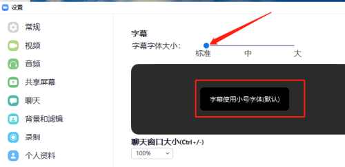 Zoom怎么把字幕字体调整为标准