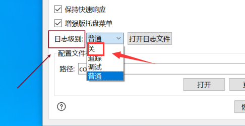 Snipaste怎么关闭日志级别