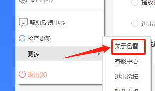 迅雷如何查看组件版本
