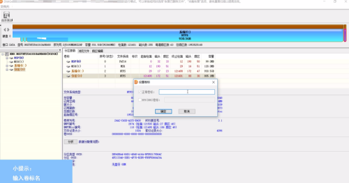 DiskGenius如何设置卷标