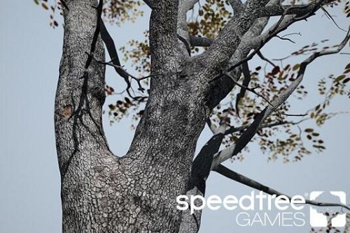 SpeedTree Games Indie