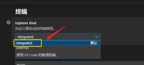 Vscode怎么自定义终端类型