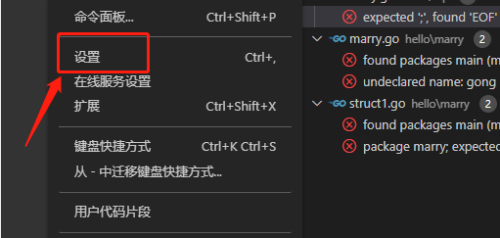 Vscode怎么自定义终端类型