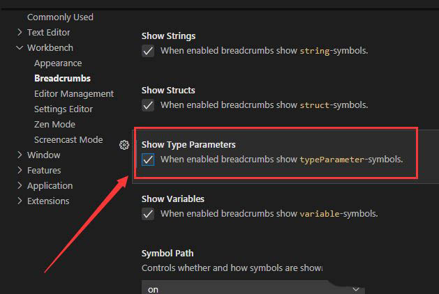 VSCode如何显示类型参数