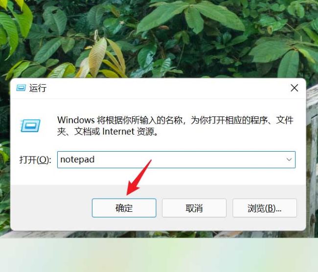 Win11怎么更改记事本字体大小