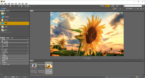 Adobe Bridge CS6最新版