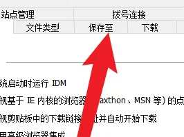 IDM下载器如何更改下载路径