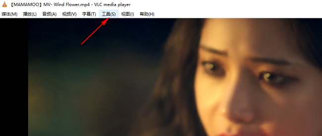 VLC media player如何显示播放信息