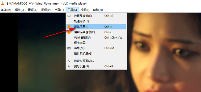 VLC media player如何显示播放信息