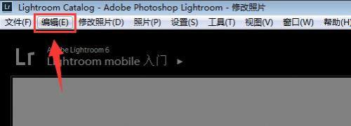 Lightroom怎么设置自动放弃1:1预览