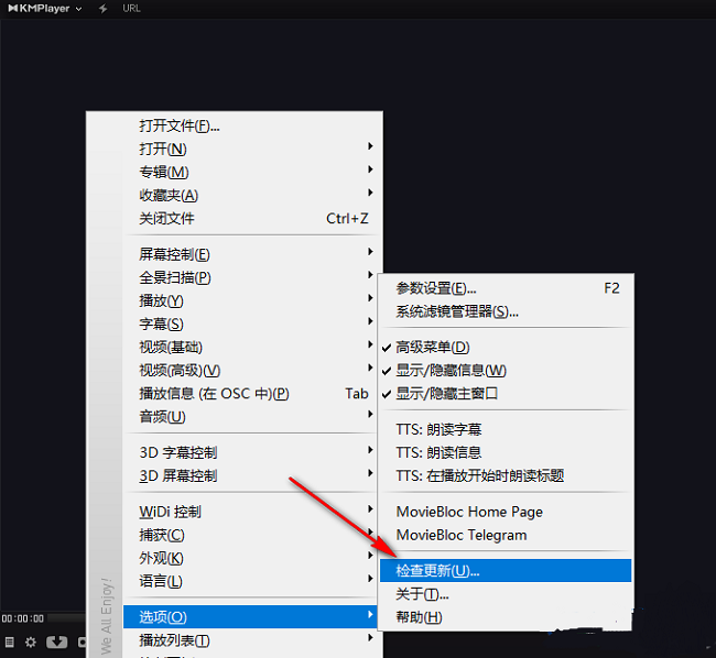 Kmplayer怎么进行更新