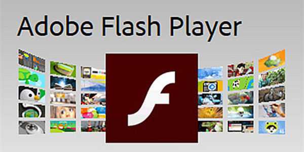 Adobe Flash Player大厅版