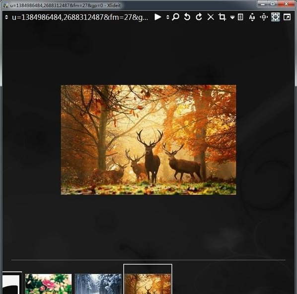 Xlideit Image Viewer