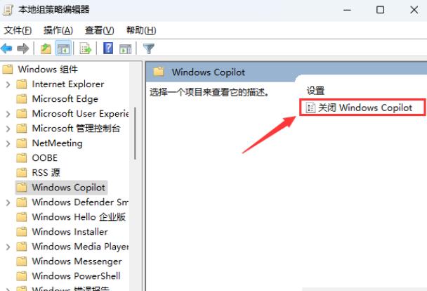 Win11如何彻底关闭Windows Copilot