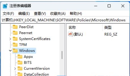 Win11如何彻底关闭Windows Copilot