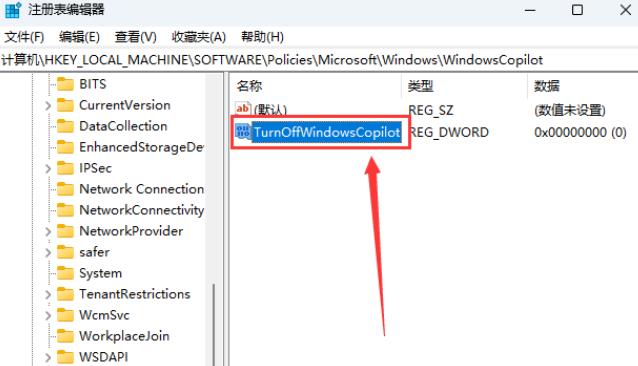 Win11如何彻底关闭Windows Copilot