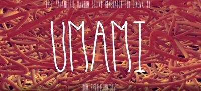 Umami